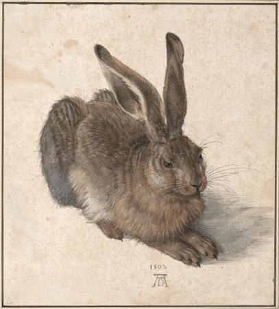 Albrecht Durer-"Leveret" Albrecht Durer-"Leveret"