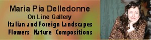 www.mariapiadelledonnewatercolors.com
