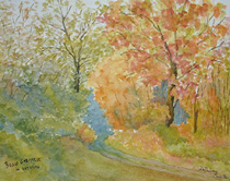 Autunno-Regione Strona