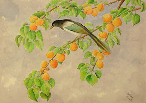 Prima del temporale