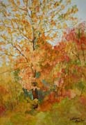 Colourful autumn games - Giochi colorati d'autunno